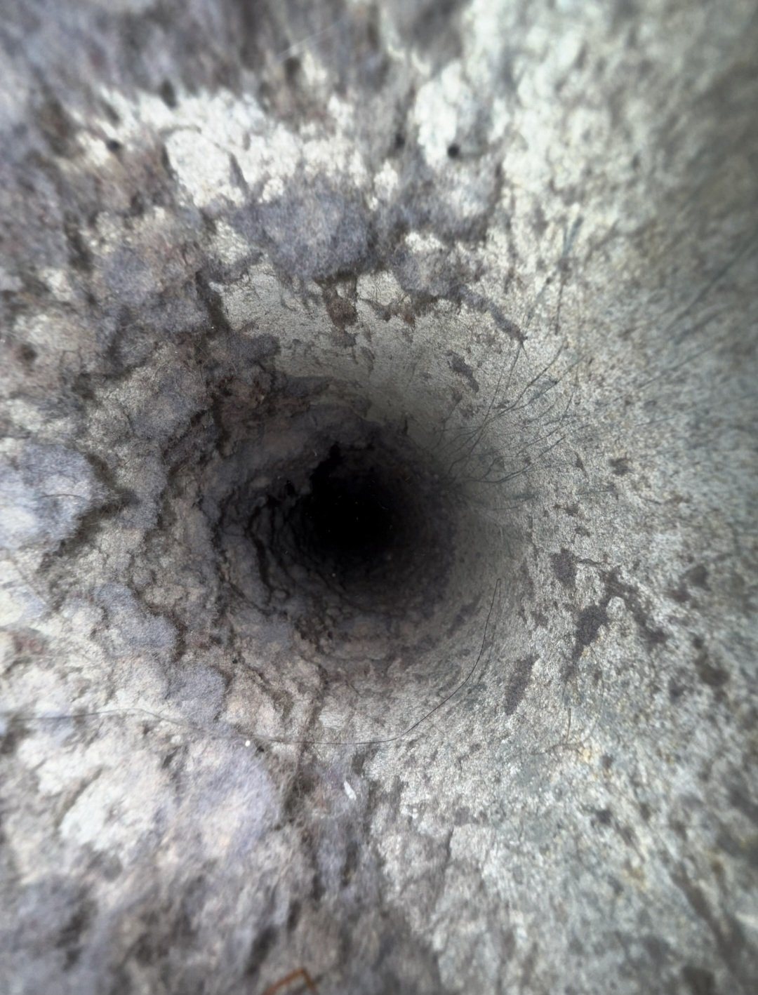 Before: dryer vent interior packed with lint